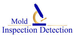 Mold Inspection & Detection