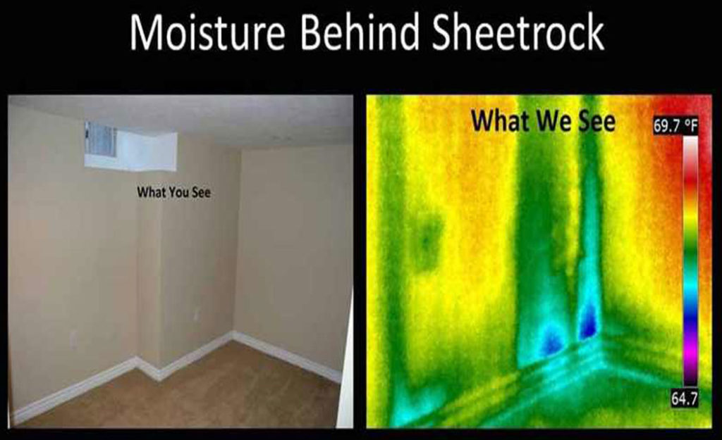 Mold Inspection & Detection