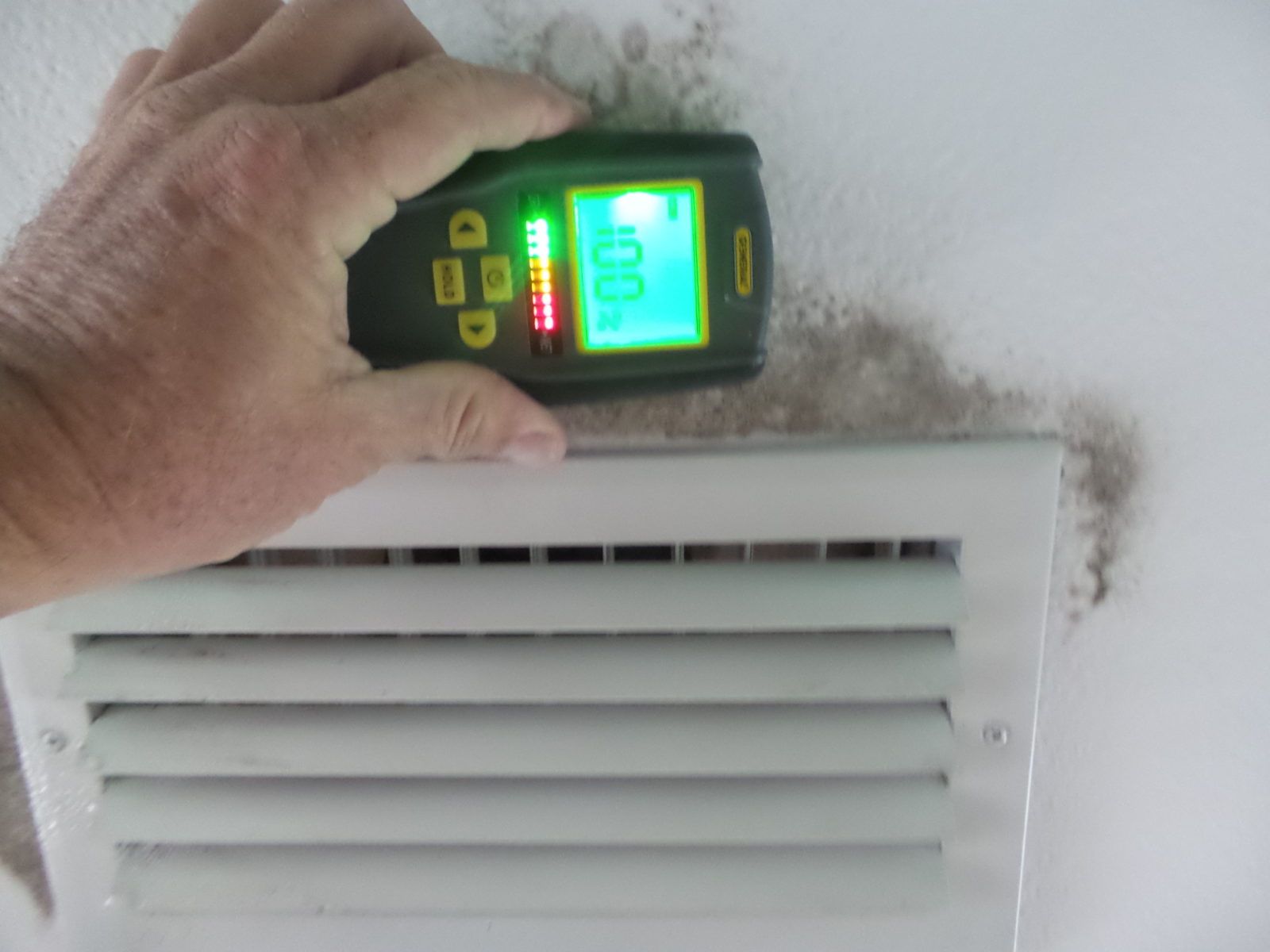 Services Mold Inspection & Detection